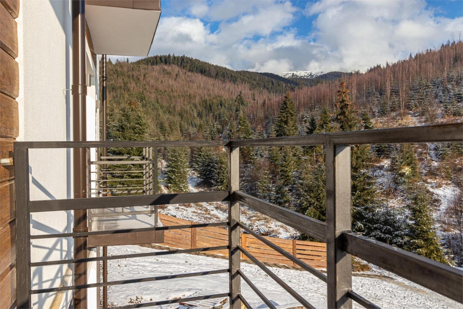Forest Home Буковель Экстерьер фото